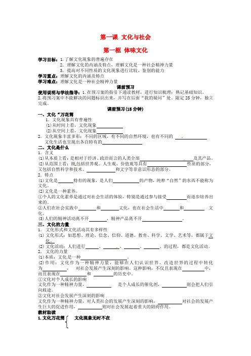 高中政治 1.1体味文化导学案新人教版必修3(2)