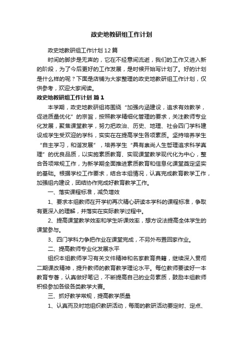 政史地教研组工作计划