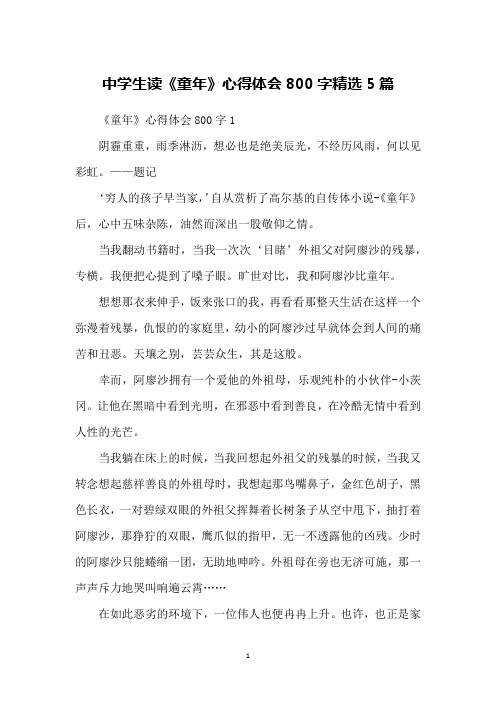 中学生读《童年》心得体会800字精选5篇