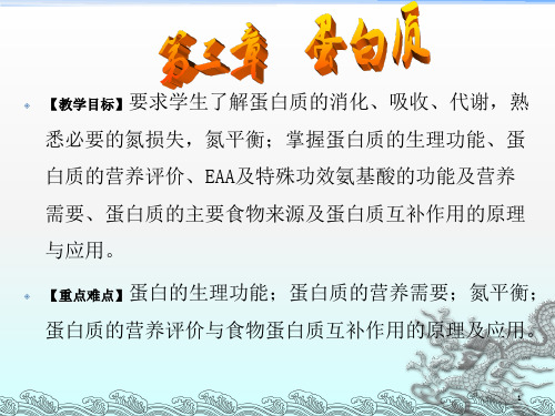 《营养师蛋白质》PPT课件