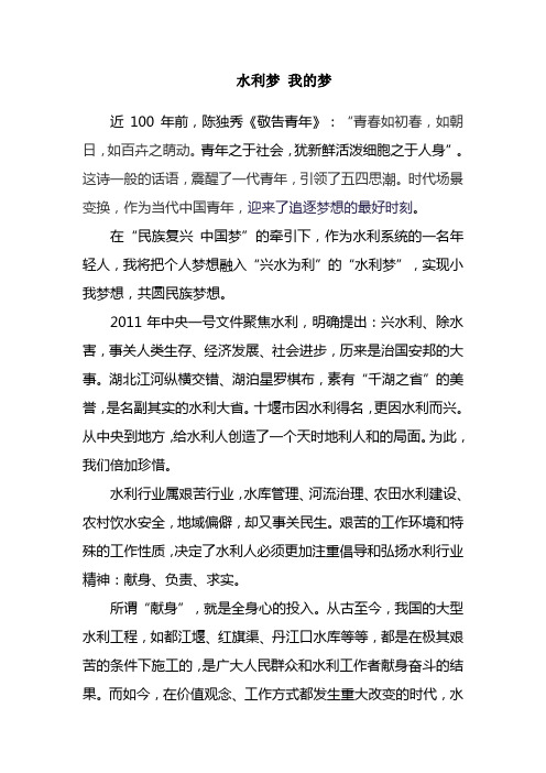 水利梦 我的梦