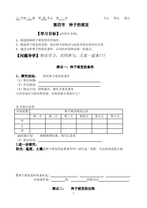 种子的萌发