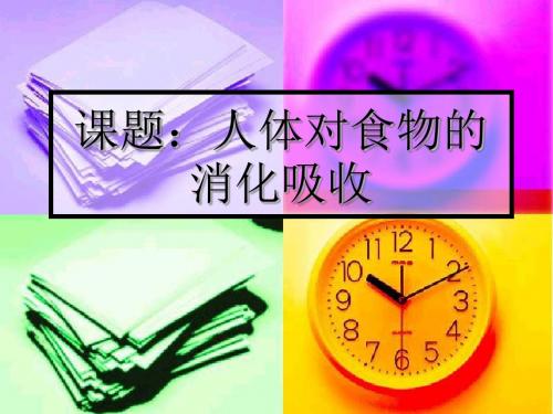 【初中生物】人体对食物的消化吸收ppt6