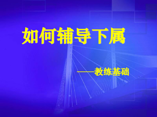 如何辅导下属  ppt课件