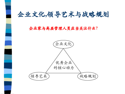 企业文化领导艺术与战略规划教材(PPT 84页)