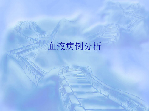 血液病例分析PPT课件