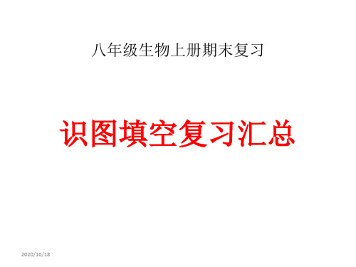 2019新人教八年级生物识图题汇总