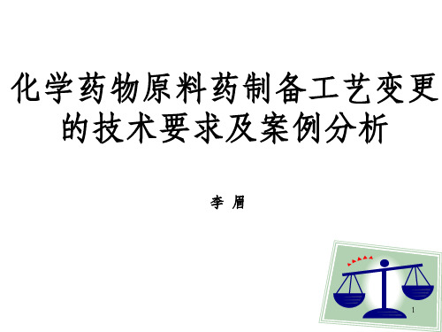 化学药物原料药制备工艺变更的技术要求及案例分析李眉培训中心