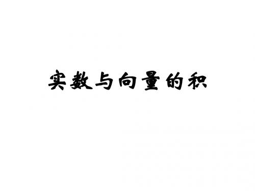 高一数学实数与向量的积1