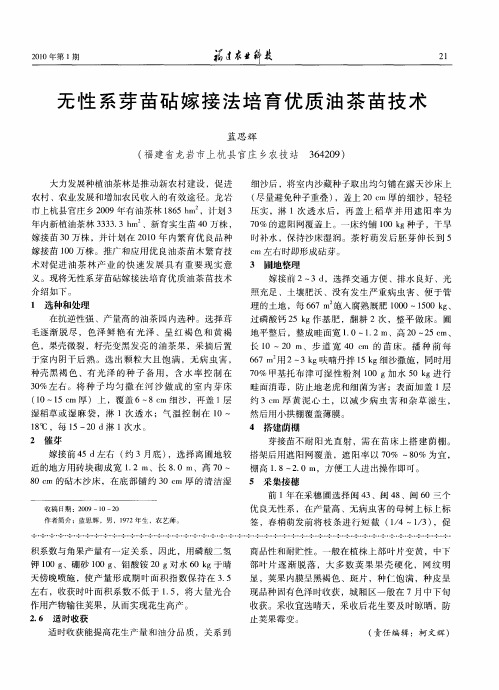 无性系芽苗砧嫁接法培育优质油茶苗技术