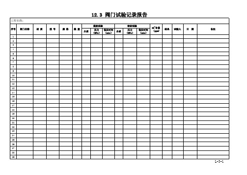 12.3.阀门试验记录报告H