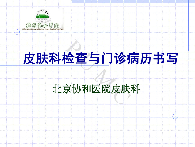 皮肤科检查与门诊病历书写(王宝玺)