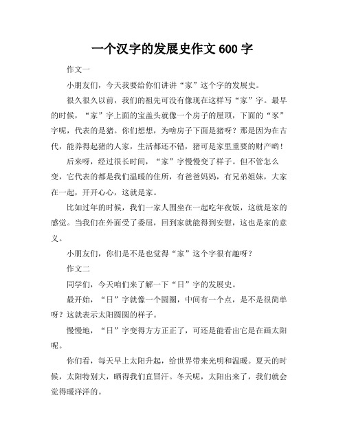 一个汉字的发展史作文600字