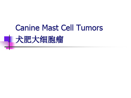 犬肥大细胞瘤