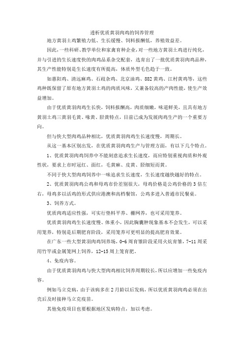 最新-透析优质黄羽肉鸡的饲养管理 精品