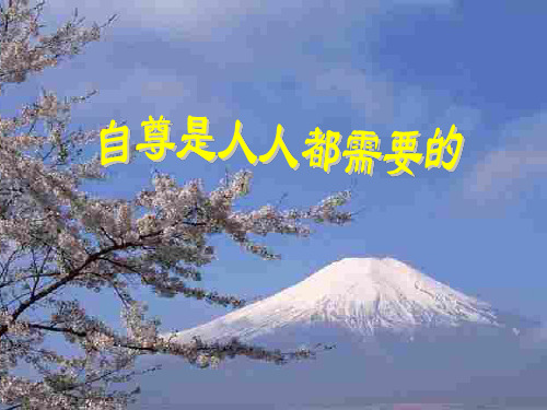 初二政治下学期自尊--浙教版