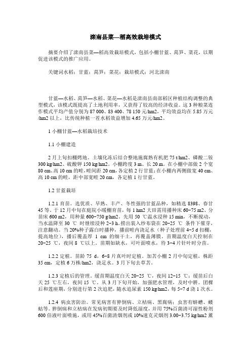 滦南县菜—稻高效栽培模式