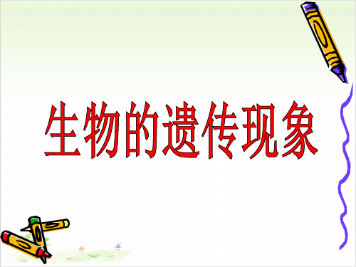 六年级下册科学-生物的遗传现象优秀课件苏教版