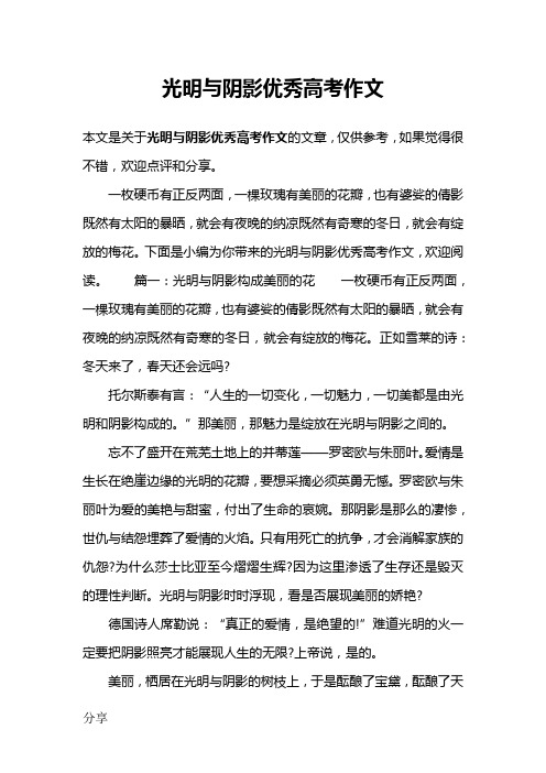 光明与阴影优秀高考作文