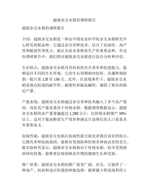 超级杂交水稻的调研报告
