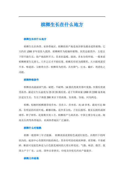 槟榔生长在什么地方