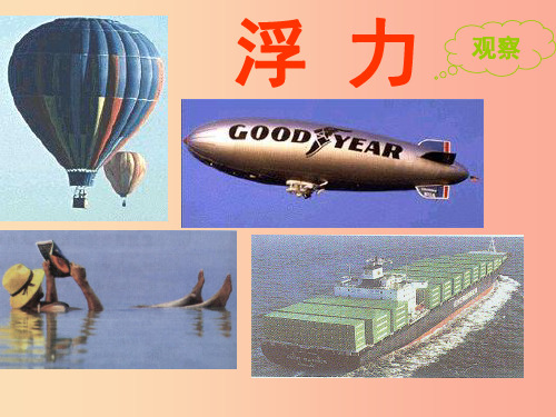 八年级物理下册第十章浮力复习课件 新人教版