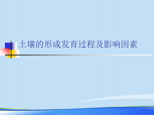 2021土壤的形成发育过程及影响因素.完整资料PPT