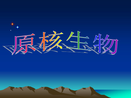 原核生物