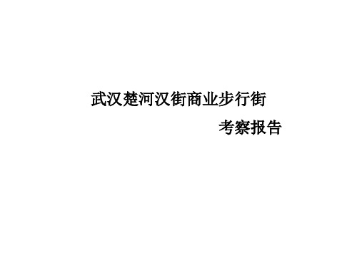 2013年武汉楚河汉街商业步行街考察报告