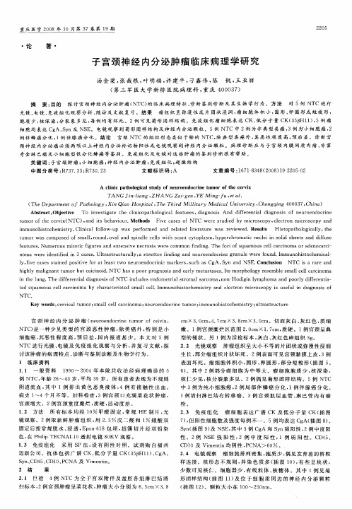 子宫颈神经内分泌肿瘤临床病理学研究