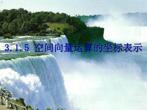 空间向量坐标表示