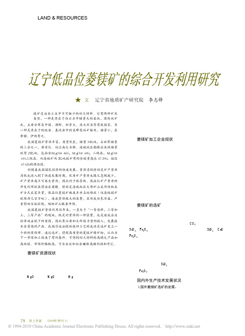 辽宁低品位菱镁矿的综合利用研究