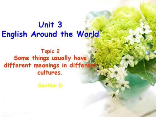 仁爱湘教版九年级上Unit 3 English around the Word Topic 2