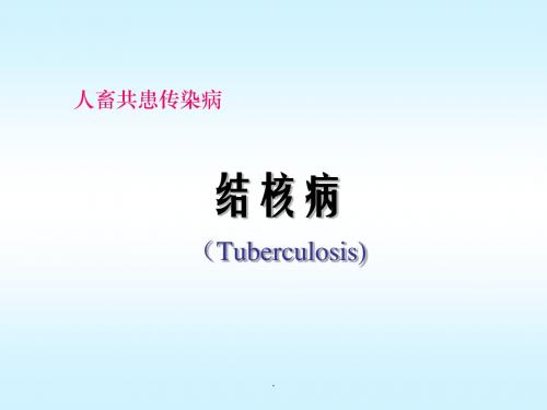 人畜共患传染病结核病PPT课件
