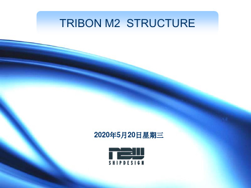 TRIBON__STRUCTURE教程
