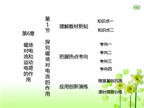 高三物理 探究磁场对电流的作用
