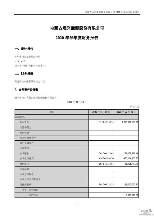 远兴能源：2020年半年度财务报告