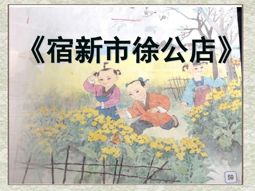新苏教版三年级语文下册《文  14 古诗二首  宿新市徐公店》研讨课课件_10