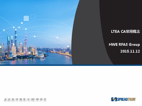 LTEA CA 常用概念, v0.1