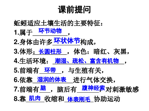 苏科版生物七下5.13.2《土壤中的微生物》课件 (共28张PPT)(1)