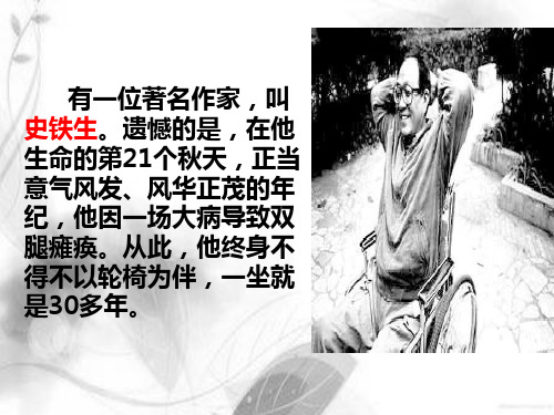 5秋天的怀念(第一课时优秀课件)