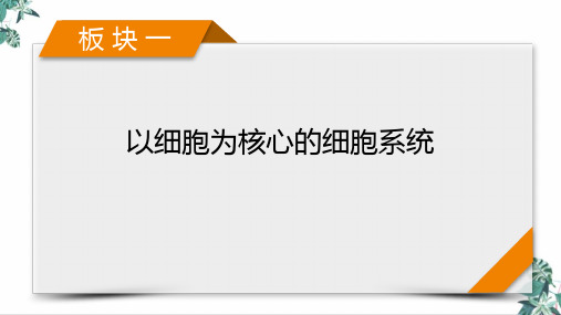 人教版教材高中生物《细胞的生命历程》PPT