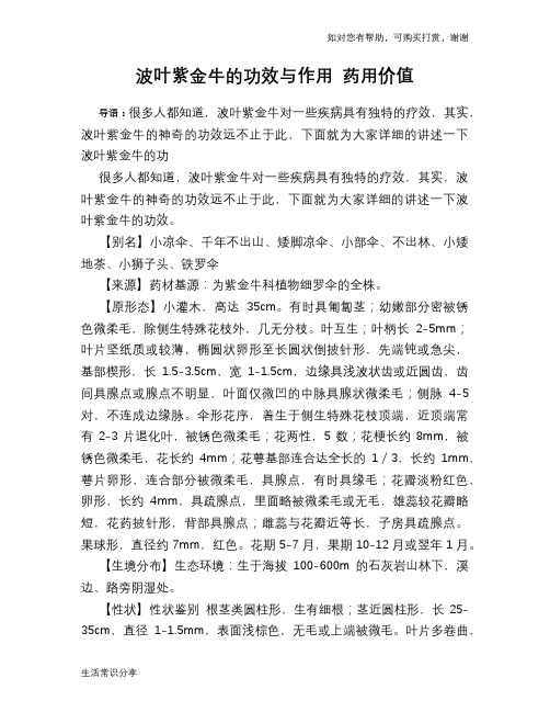 波叶紫金牛的功效与作用 药用价值