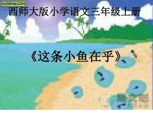 《这条小鱼在乎》课件