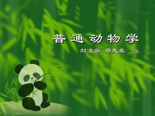 高中生物竞赛课件普通动物学00绪论