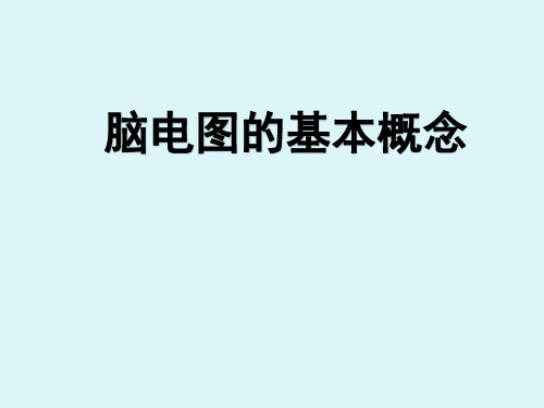 脑电图的基本概念