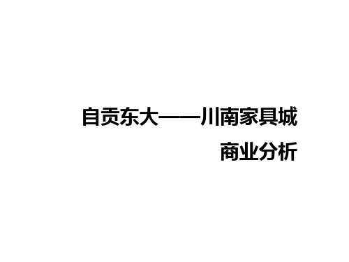 自贡东大川南家居城商业分析03