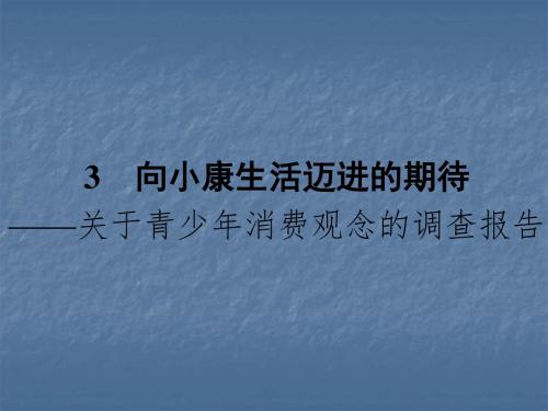 向小康生活迈进的期待ppt6 粤教版