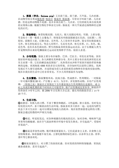 豚鼠习性