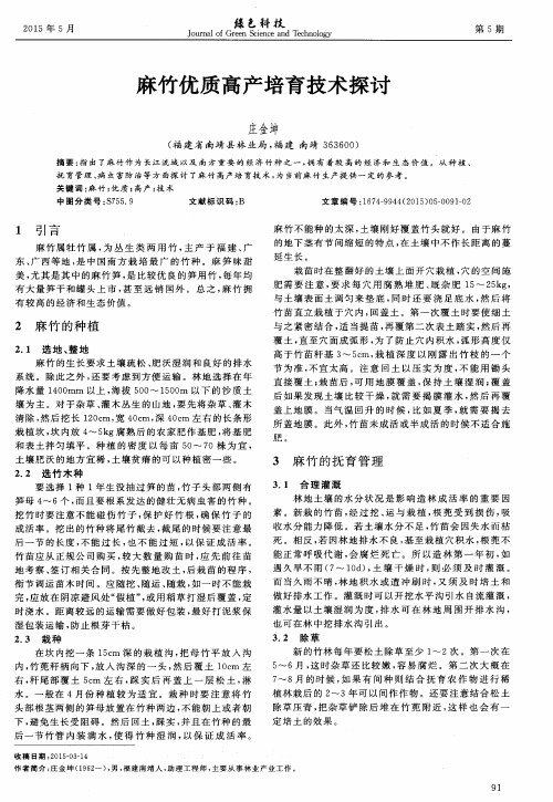 麻竹优质高产培育技术探讨